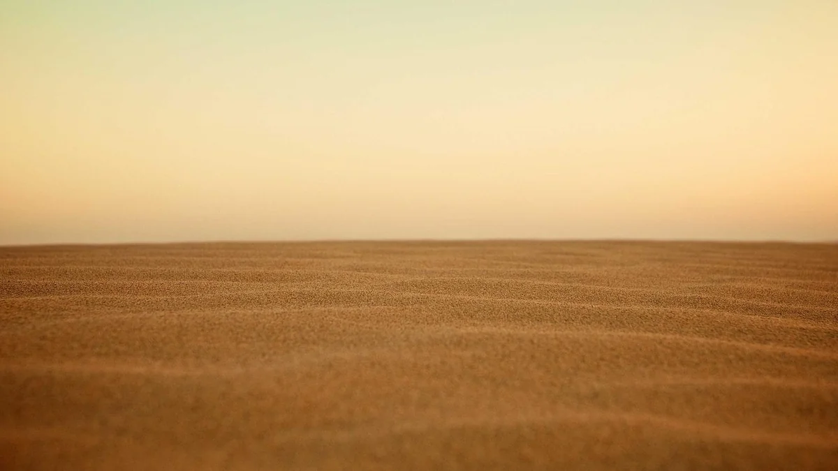 Finding a Man That Won't Cheat on You