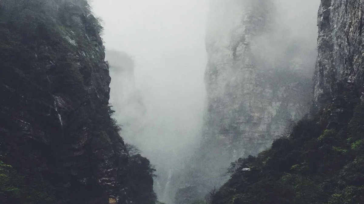 How to Replace a Shower Head