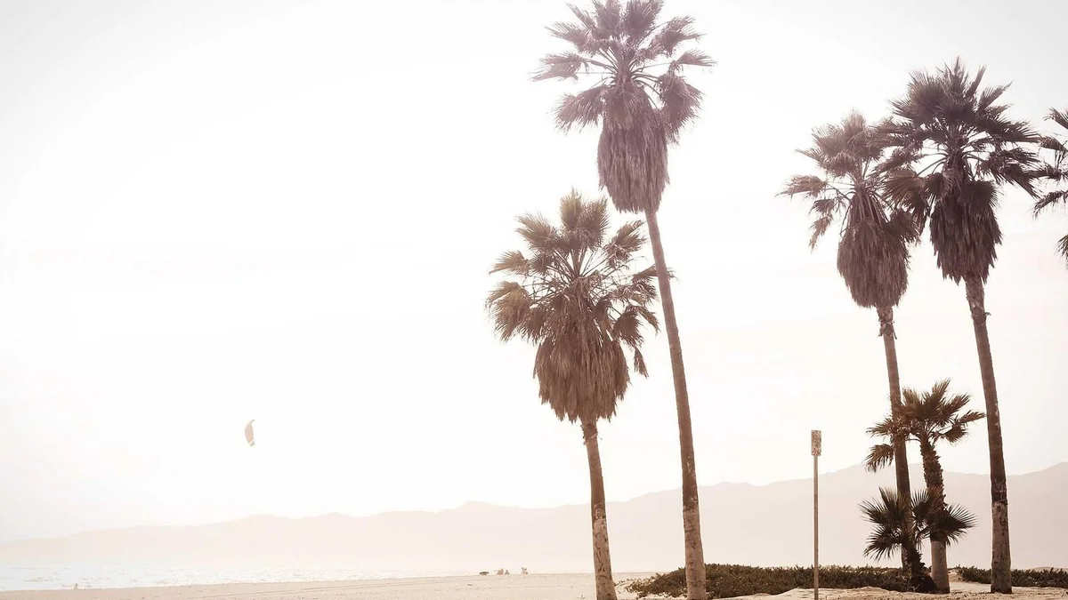 How to Inspect Roof for Damage