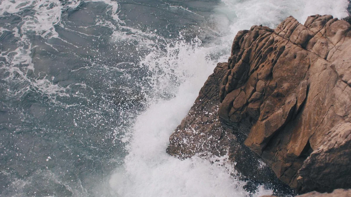 Building High-Quality Organic Backlinks That Drive Authority