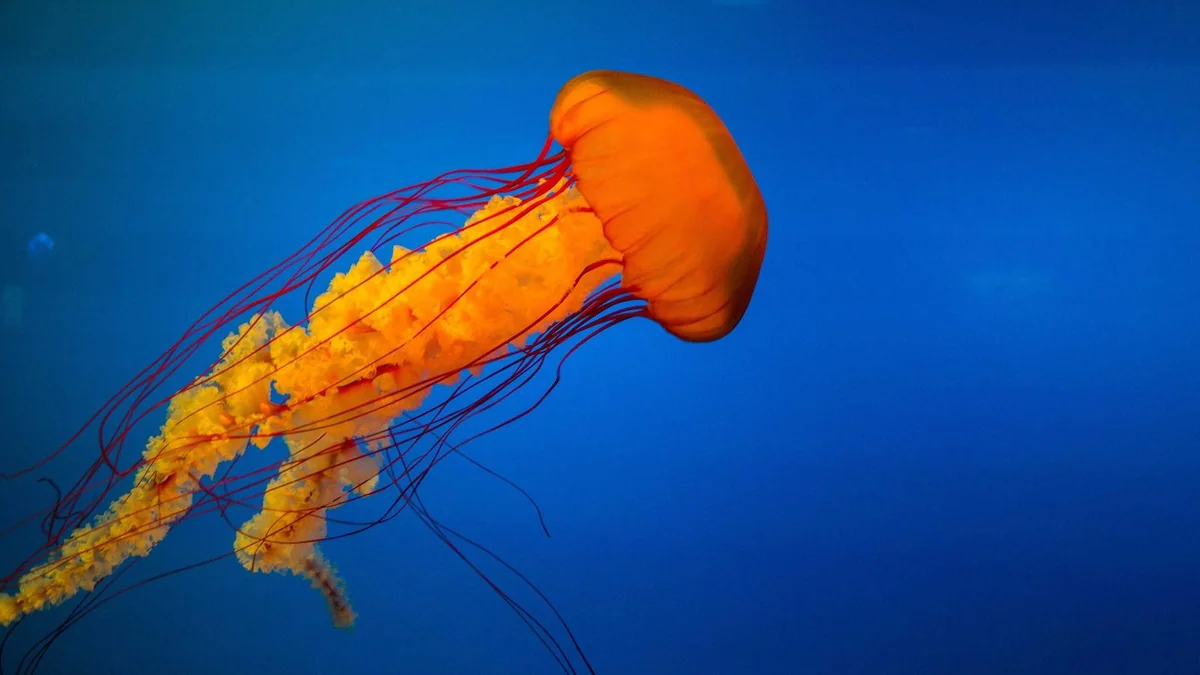 How to Replace a Thermostat