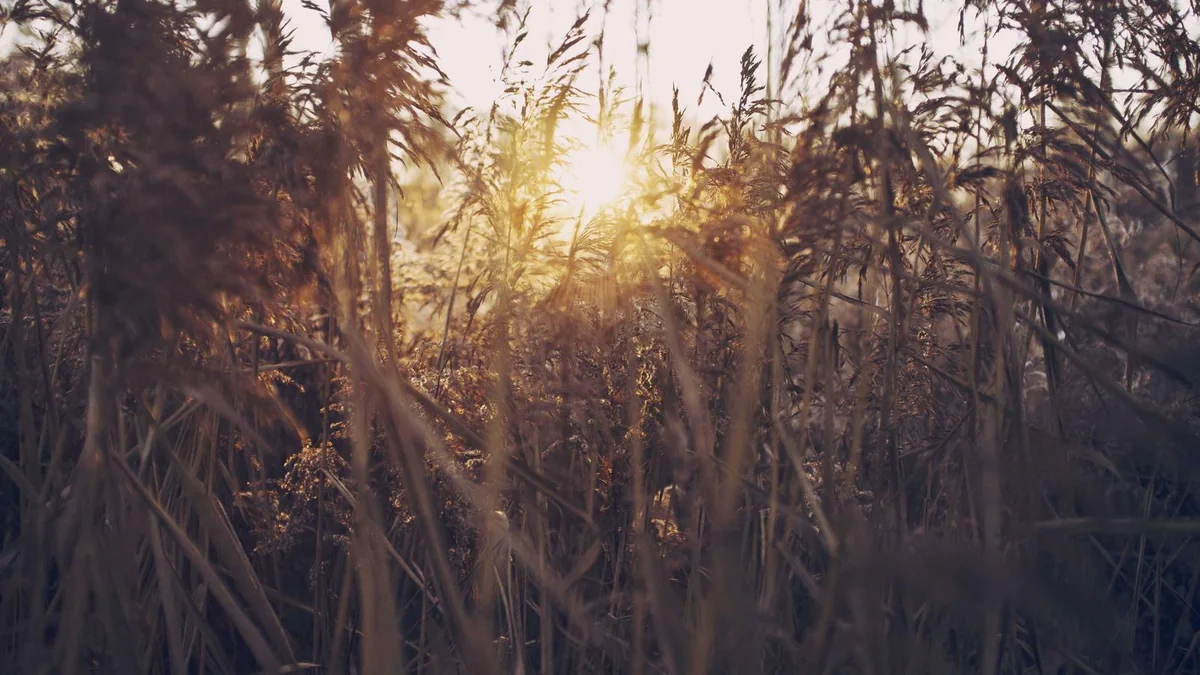 How to Replace Cabin Air Filter