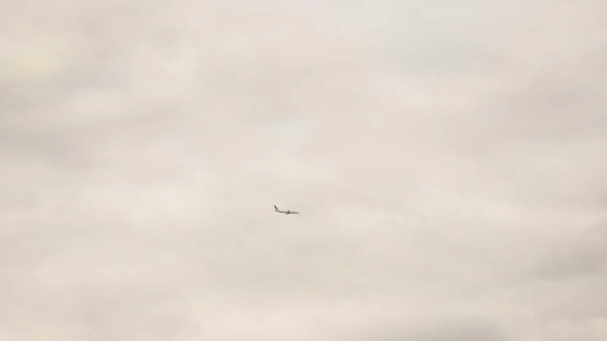 Traditional Lime Plaster Making
