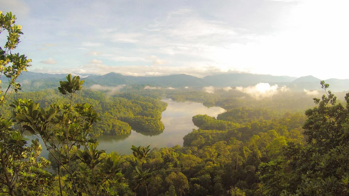 How to Prepare for Roof Replacement