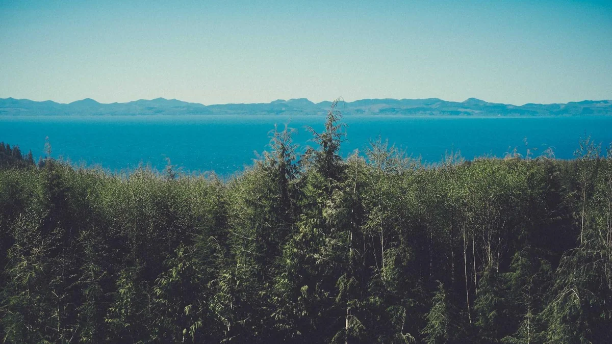 How to Install Security Camera Wiring