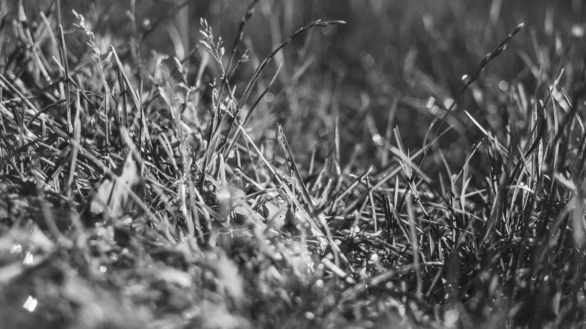 How to Create Gravel Driveway