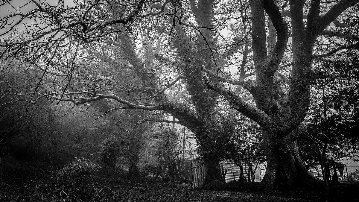 How to Wire a Hot Tub