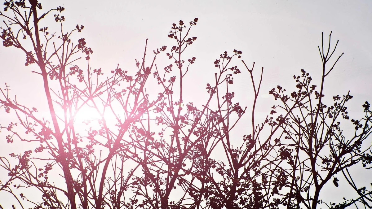 How to Size an Air Conditioner