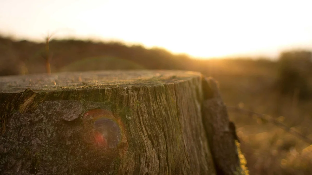 How to Get Certification