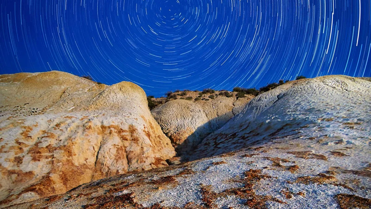 Patient Check-In Procedure