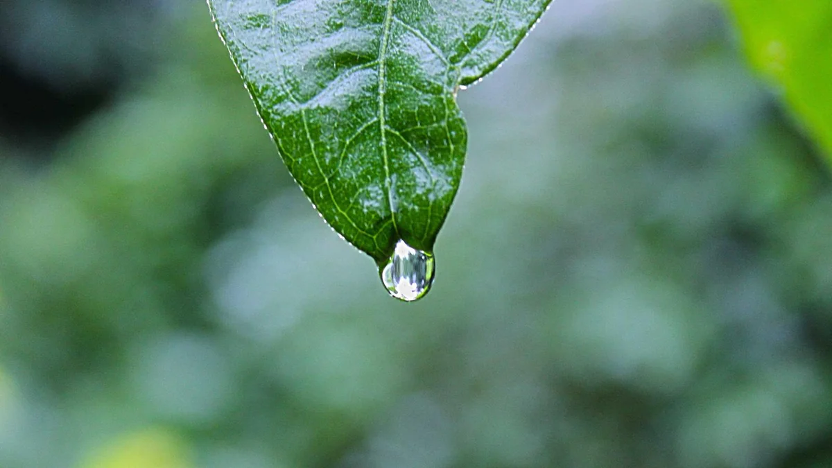 Weekly Inventory Count