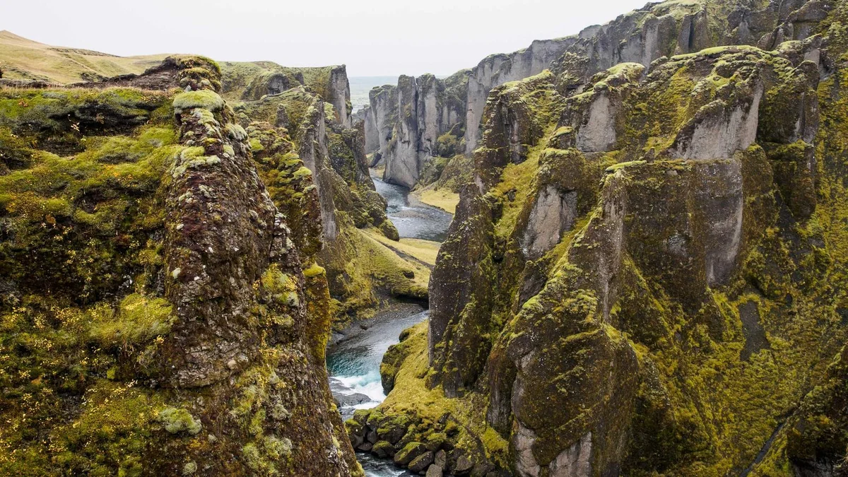 How to Pickle Vegetables