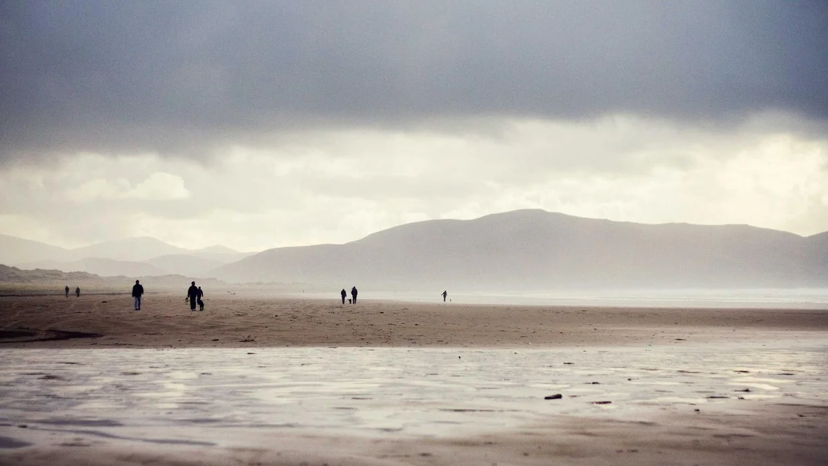 How to Clean Engine Bay