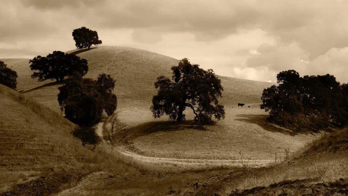 How to Install Roof Vents