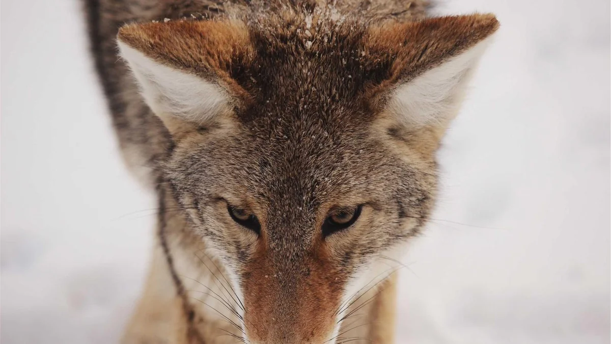 How to Start Working Out