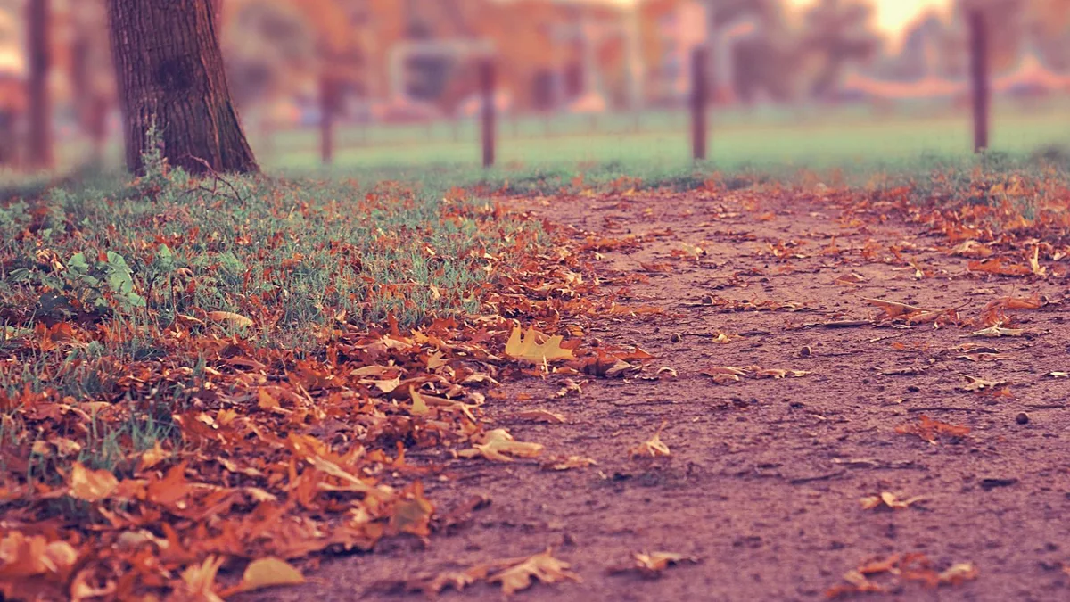 Play a Game Together