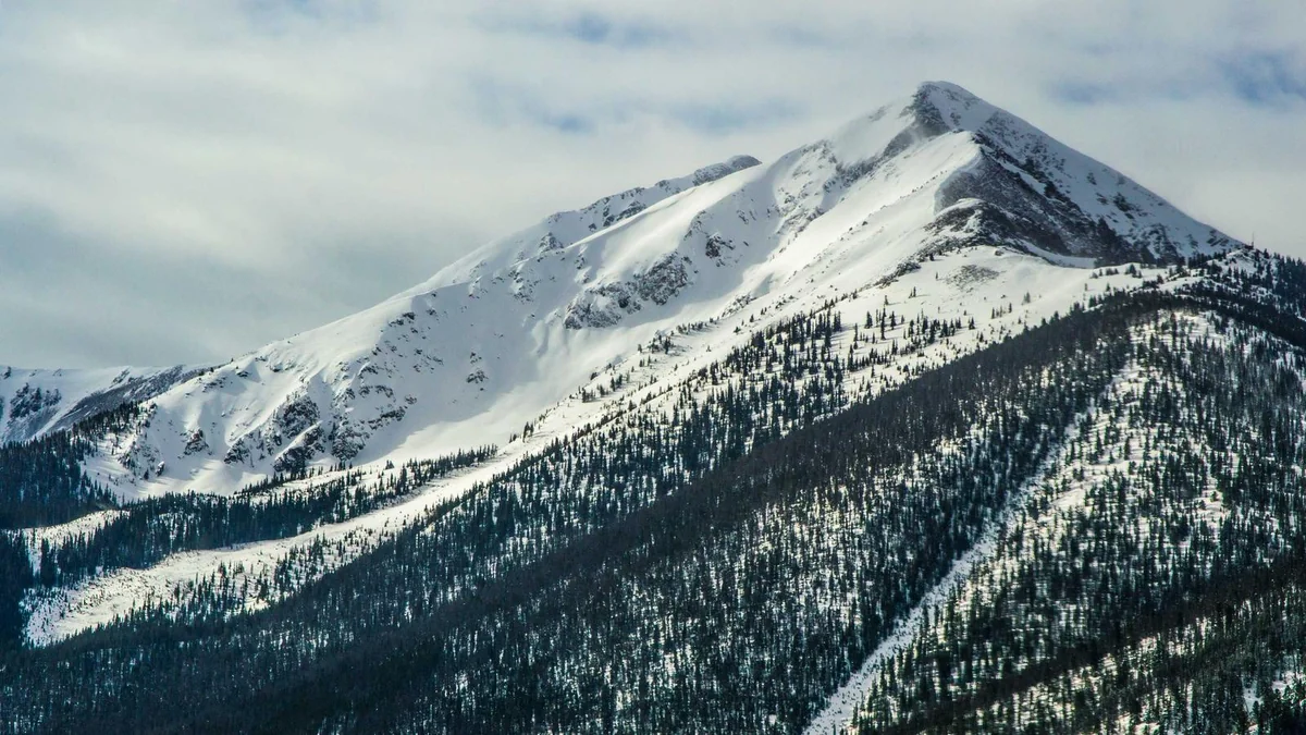 How to Fix Paint Chips