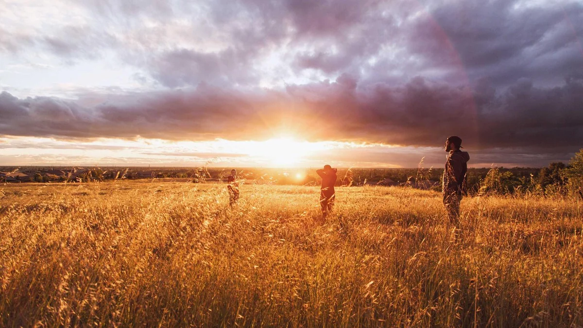 How to Replace a Light Switch