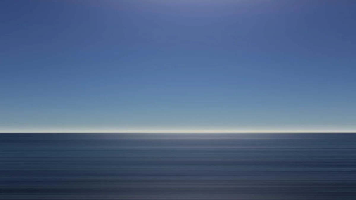 How to Potty Train Dog