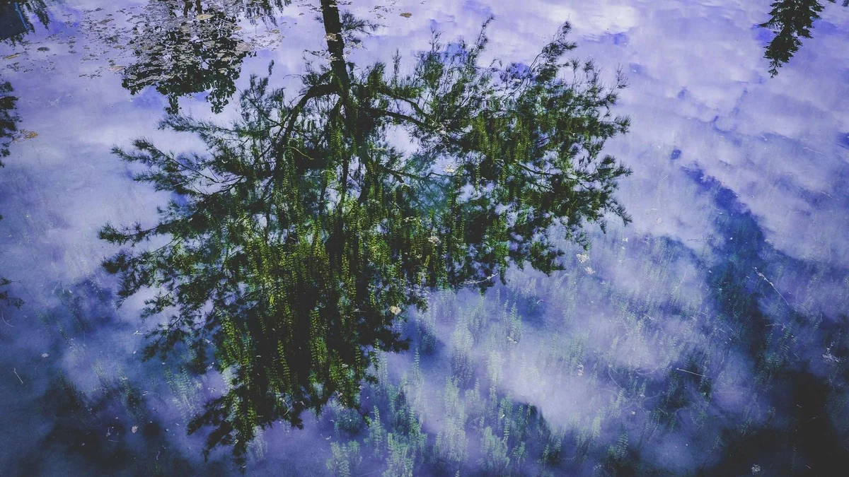 How to Speed Up Computer