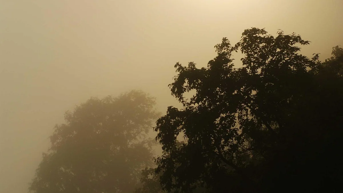 How to Fix AC Drain Line Clog