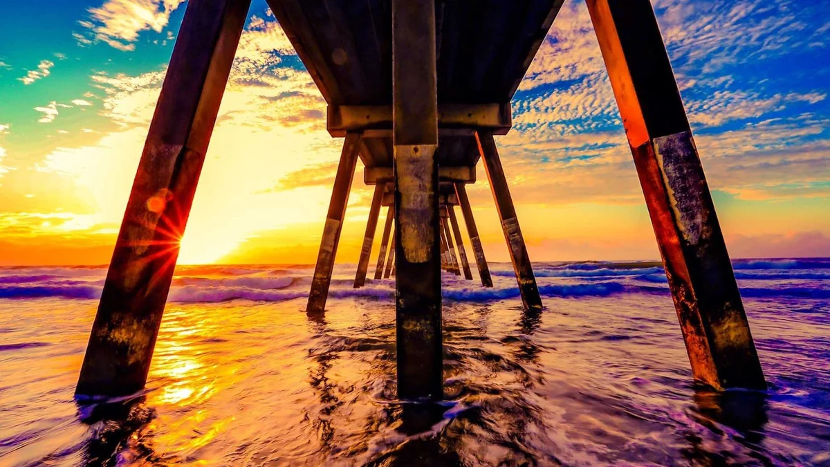 How to Remove Car Odors