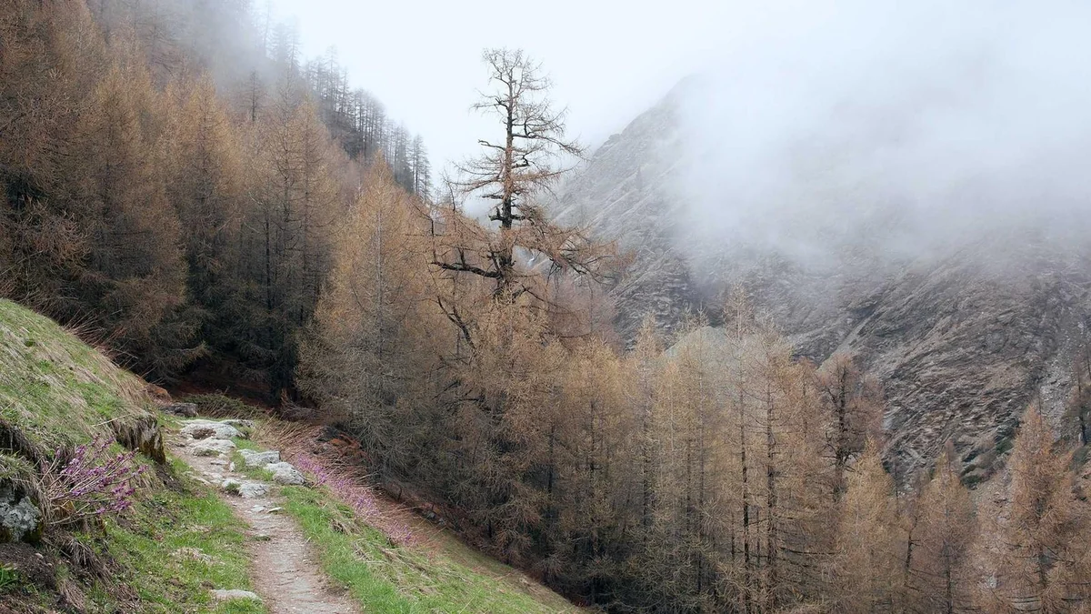 How to Use Paint Sprayer