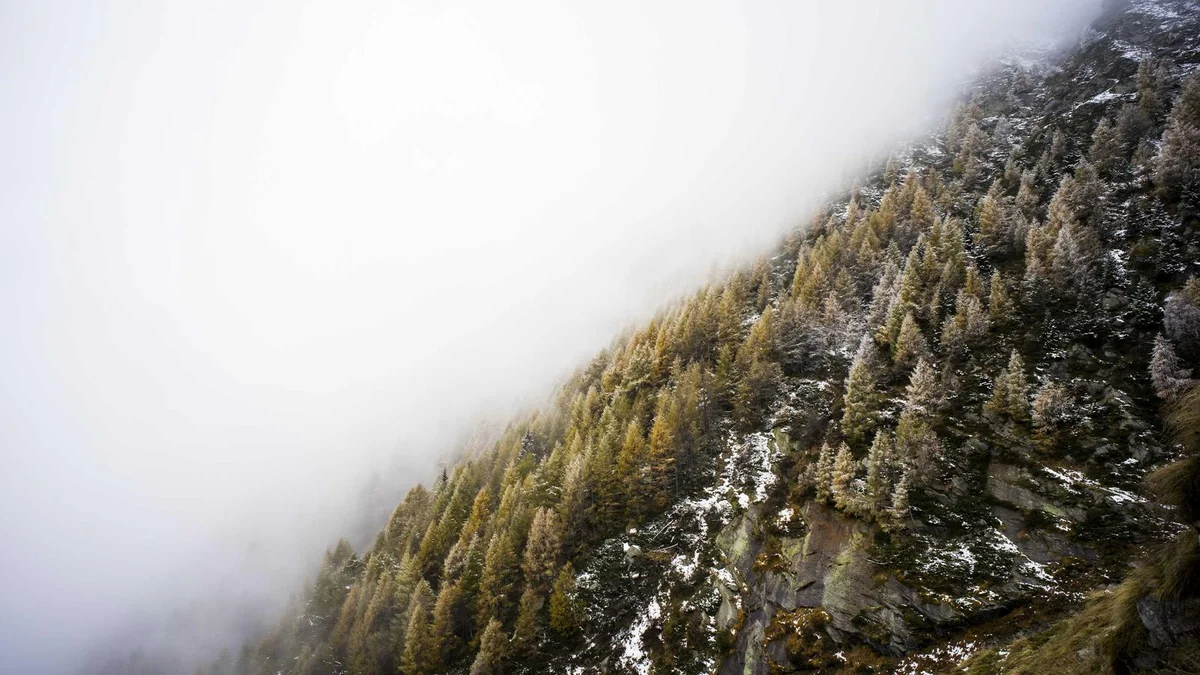 How to Fix AC Not Cooling