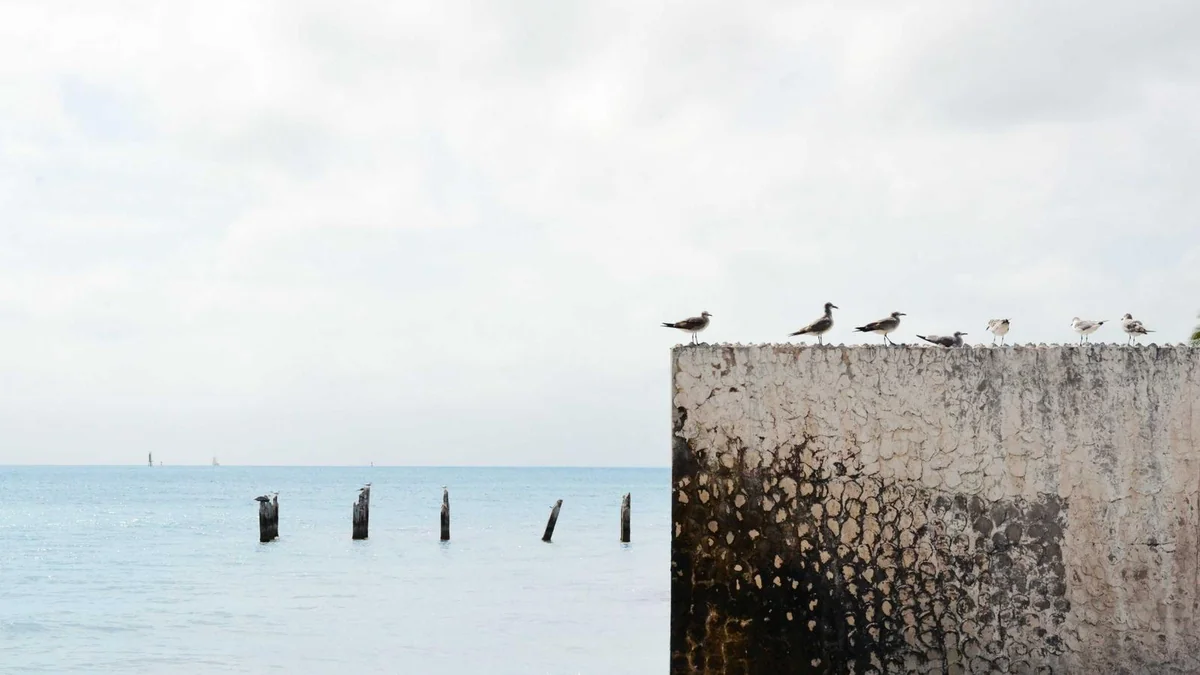 How to Install Artificial Turf