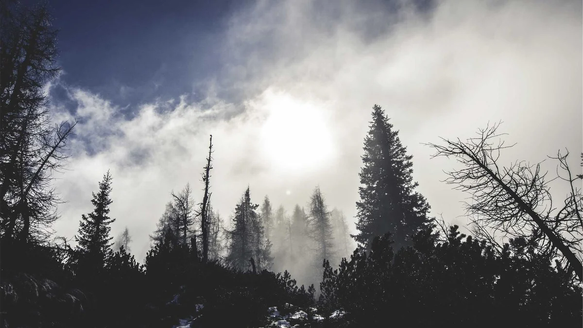 How to Build Outdoor Stairs