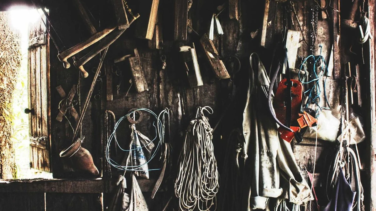 How to Litter Train Cat