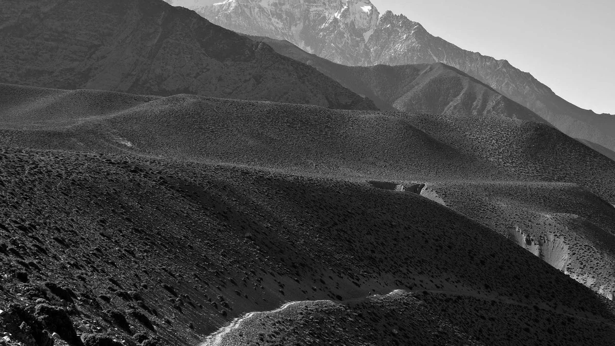 How to Replace Windshield