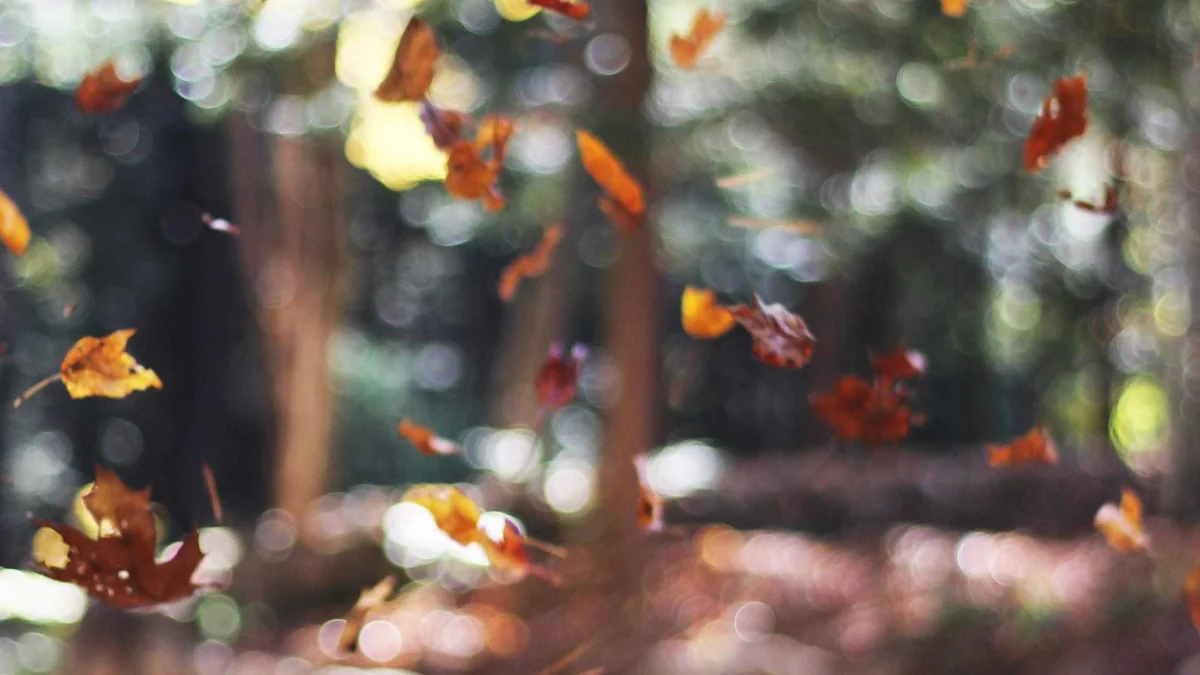 Professional Private Jet Cleaning in Missouri