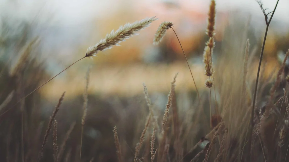 How to Fix Drywall Before Painting