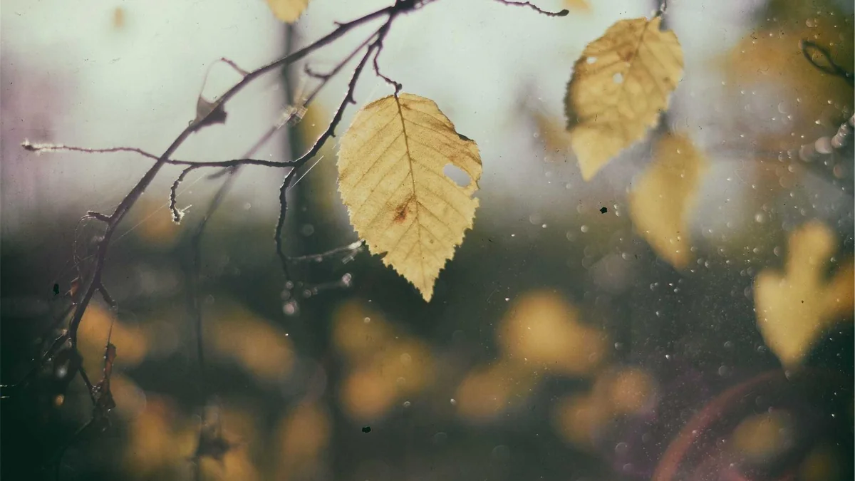 How to Thaw Frozen Pipes