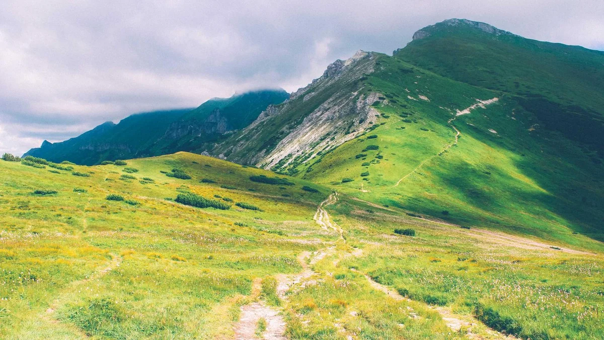 How to File Business Taxes