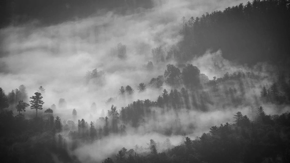 Washing a Deep 1/3rd Pan