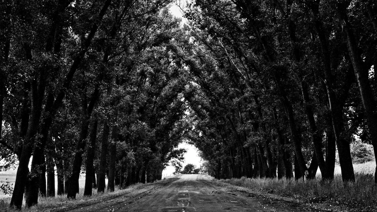 How to Replace Fuel Filter