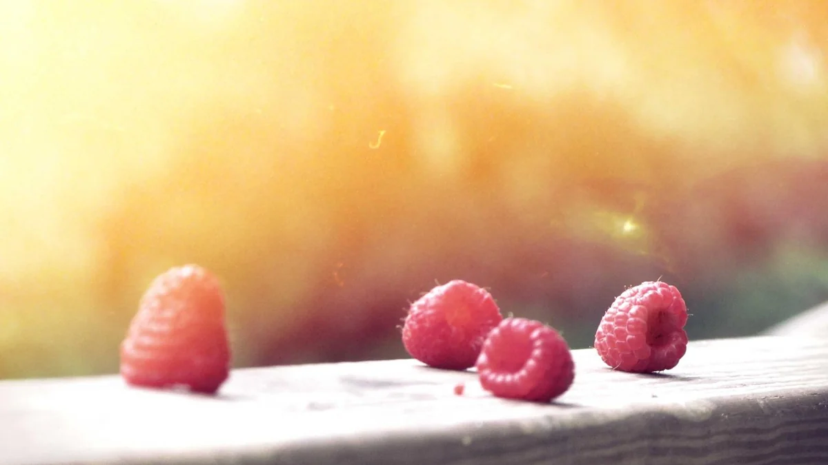 How to Clean Evaporator Coils