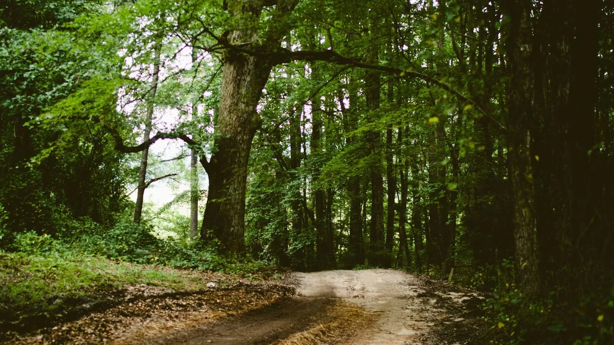 How to Replace Tail Light