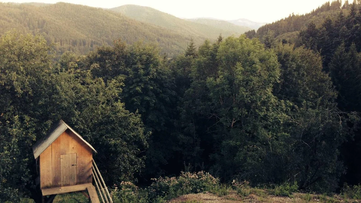 How to Fix a Dripping Shower