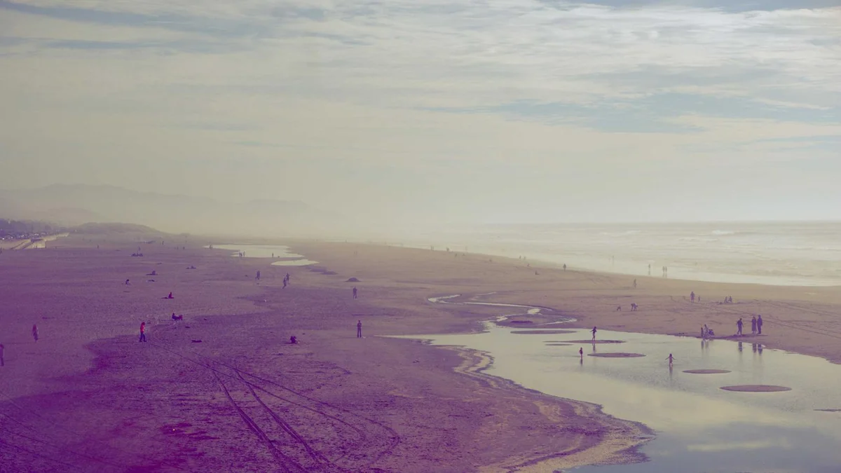 How to Fix Check Engine Light