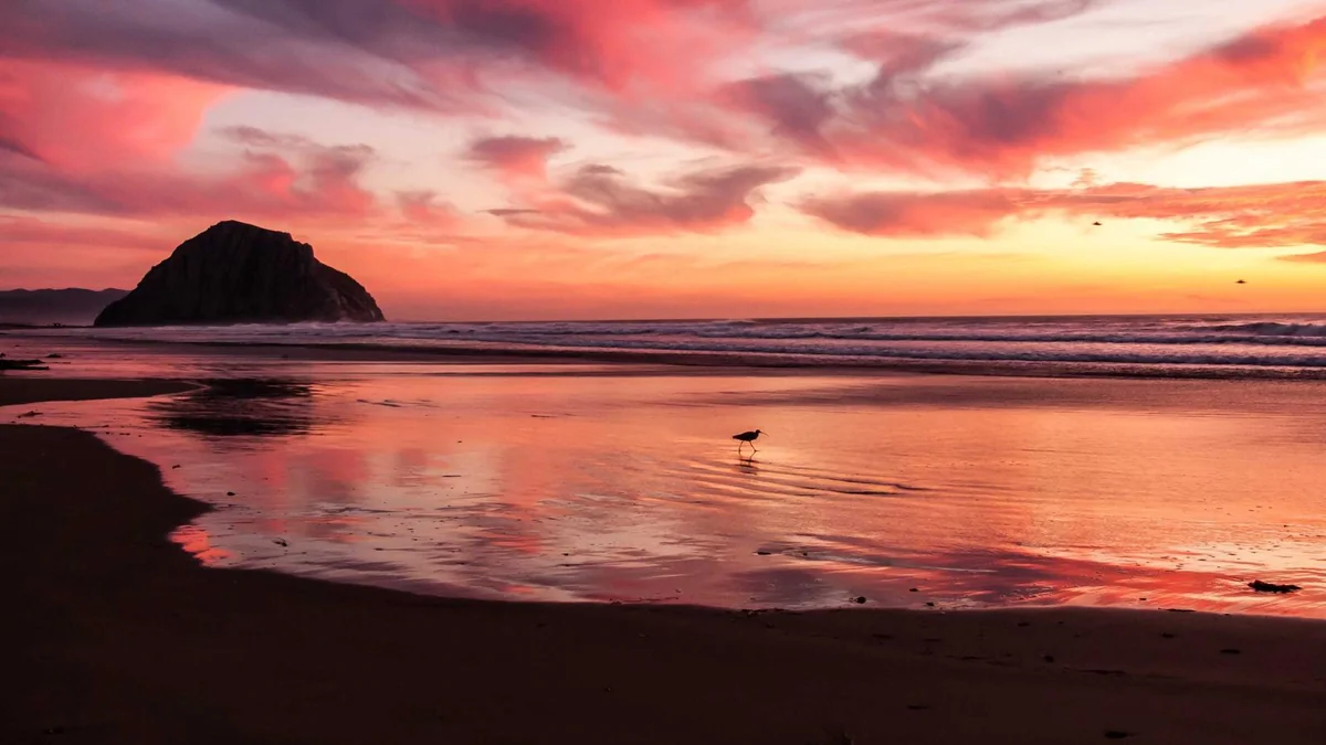 How to Replace a Light Fixture