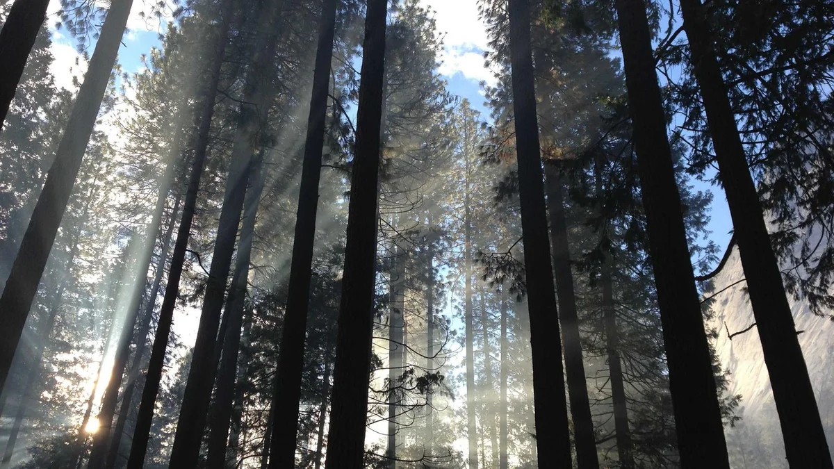 How to Install Window AC Unit