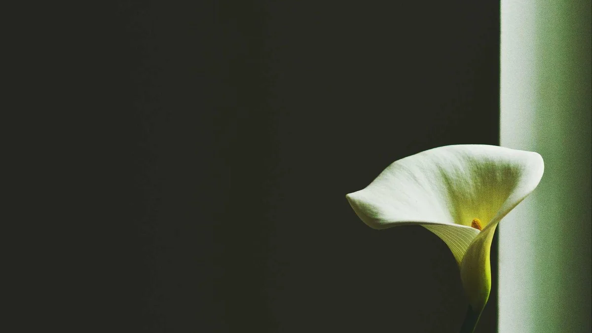 Venetian Mask Making